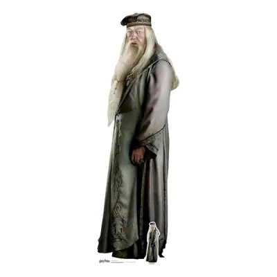Albus Dumbledore Kartongfigur