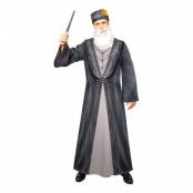 Harry Potter Dumbledore Maskeraddräkt - Large