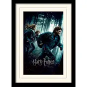 Harry Potter - Mounted & Framed 30X40 Print - Deathly Hallows Part 1