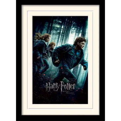 Harry Potter - Mounted & Framed 30X40 Print - Deathly Hallows Part 1