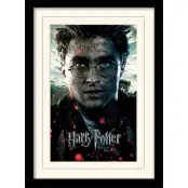 Harry Potter - Mounted & Framed 30X40 Print - Deathly Hallows Part2