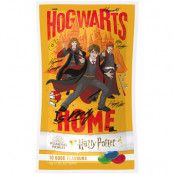 Harry Potter - 10 Good Flavours Jelly Beans - 28 g