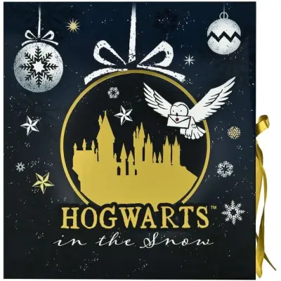 Harry Potter Adventskalender - för None - flerfärgad