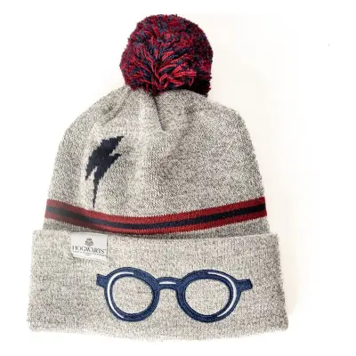 Harry Potter Beanie