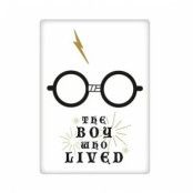 Harry Potter - Boy Who Lived - Magnet