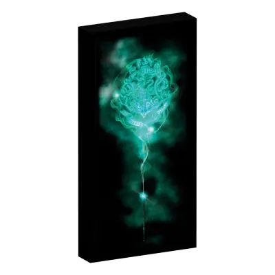 Harry Potter - Canvas With 6 Led Light 20X3X40Cm