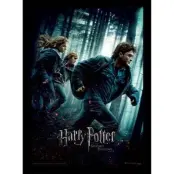 Harry Potter - Deathly Hollows Part 1 - Collector Print 30X40Cm