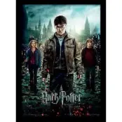 Harry Potter - Deathly Hollows Part 2 - Collector Print 30X40Cm