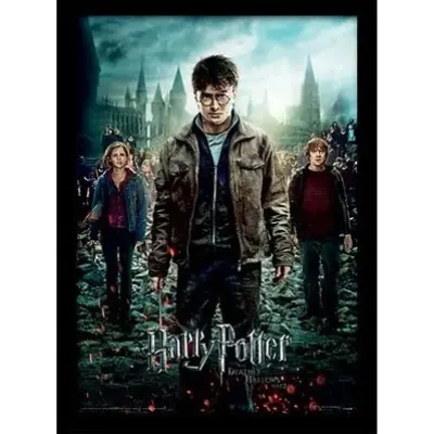 Harry Potter - Deathly Hollows Part 2 - Collector Print 30X40Cm