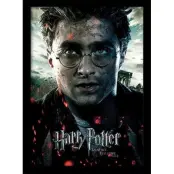 Harry Potter - Deathly Hollows Part 2 Harry- Collector Print 30X40Cm