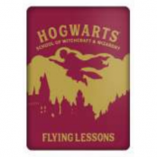 Harry Potter - Flying Lessons - Magnet