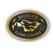 Harry Potter - Flying Lessons - Pins