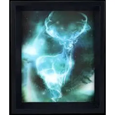 Harry Potter Framed 3D Effect Poster Expecto Patronum 26x20cm