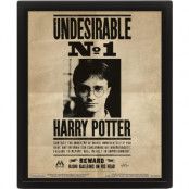 Harry Potter - Framed 3D Effect Poster Potter / Sirius