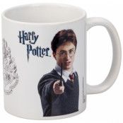 Harry Potter - Harry Mug White