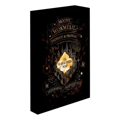 Harry Potter - Marauders Map - Light Canvas 40X30 Cm