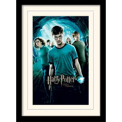 Harry Potter - Mounted & Framed 30X40 Print - Order Of The Phoenix