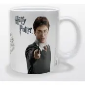 Harry Potter Mug