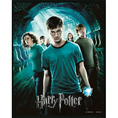 Harry Potter - Order Of The Phoenix - 3D Lenticular Poster 25x20cm