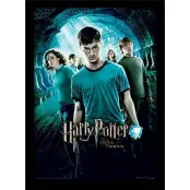 Harry Potter - Order Of The Phoenix - Collector Print 30X40Cm