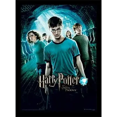 Harry Potter - Order Of The Phoenix - Collector Print 30X40Cm