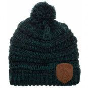 Harry Potter - Pompon Slytherine Logo Beanie