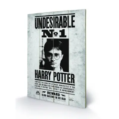 Harry Potter - Printing On Wood 40X59 - Undesirable Nr 1