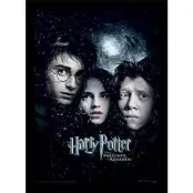 Harry Potter - Prisoner Of Azkaban - Collector Print 30X40Cm