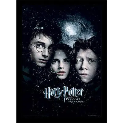 Harry Potter - Prisoner Of Azkaban - Collector Print 30X40Cm