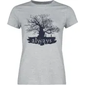Harry Potter T-shirt - Magic Tree - M XXL - för Dam - gråmelerad