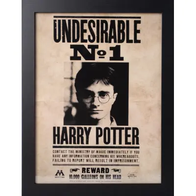 Harry Potter - Undesirable Nr1 - Collector Print '30X40Cm'