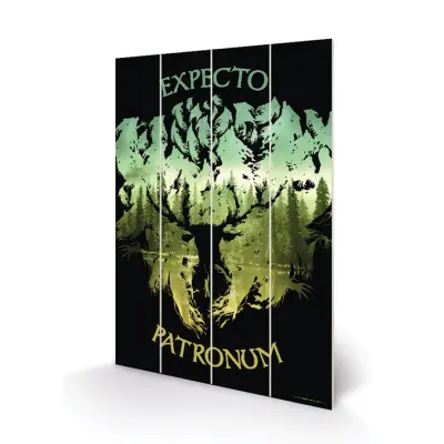 Harry Potter - Wood Print 20X29.5 - Expecto Patronum
