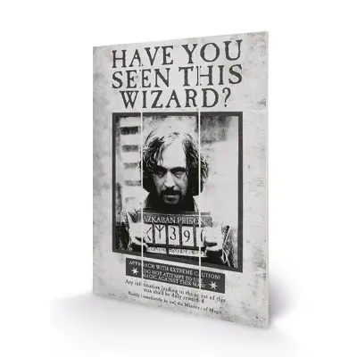 Harry Potter - Wood Print 20X29.5 - Sirius Wanted