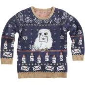 Harry Potter Christmas jumper - Barn - Hedwig - 110/116 122/128 - för barn - flerfärgad