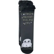 Harry Potter Strumpor - Hedwig - EU 39-42 - för Dam - flerfärgad