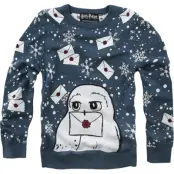 Harry Potter Sweatshirt - Barn - Hedwig - 128 164 - för barn - blå