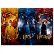 Pussel Harry Potter Ron, Harry, Hermione 1000pz