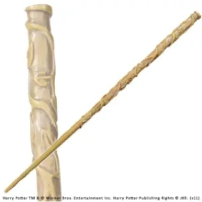 Hermione Grangers Character Wand