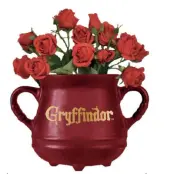 Harry Potter - Cauldron Gryffindor - Wall Mounted Flower Pot