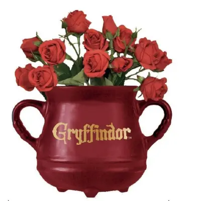 Harry Potter - Cauldron Gryffindor - Wall Mounted Flower Pot