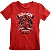 Harry Potter - Comic Style Gryffindor Kids T-Shirt