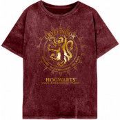 Harry Potter - Gryffindor Constellations Womens Acid Wash T-Shirt