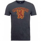 Harry Potter - Gryffindor Sport T-Shirt