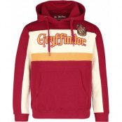 Harry Potter Luvtröja - Gryffindor - M - för Herr - flerfärgad