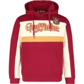 Harry Potter Luvtröja - Gryffindor - M - för Herr - flerfärgad