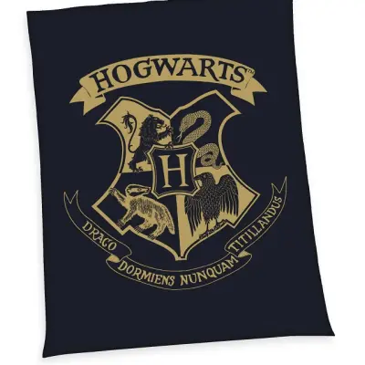 Harry Potter Fleece Blanket Hogwarts 150 x 200 cm