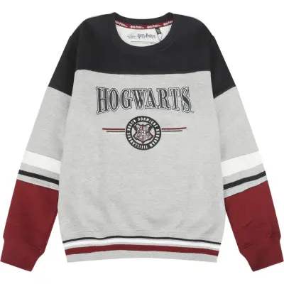 Harry Potter Sweatshirt - Barn - Hogwarts - England Made - 164 176 - för barn - flerfärgad