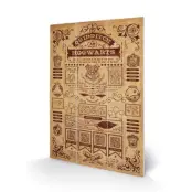 Harry Potter - Wood Print 20X29.5 - Quidditch At Hogwarts