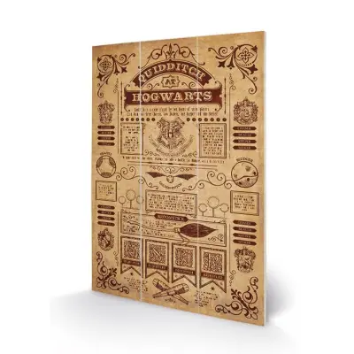 Harry Potter - Wood Print 20X29.5 - Quidditch At Hogwarts