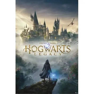 Hogwarts Legacy Poster Pack Wizarding World Universe 61x91cm